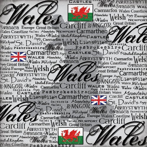 Scrapbook Customs - World Collection - Wales - 12 x 12 Paper - Scratchy