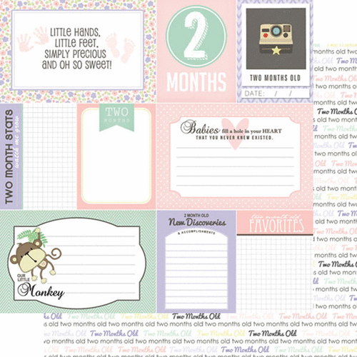 Scrapbook Customs - Baby Girl Collection - 12 x 12 Double Sided Paper - 2nd Month