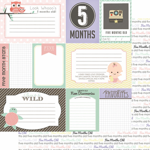 Scrapbook Customs - Baby Girl Collection - 12 x 12 Double Sided Paper - 5th Month