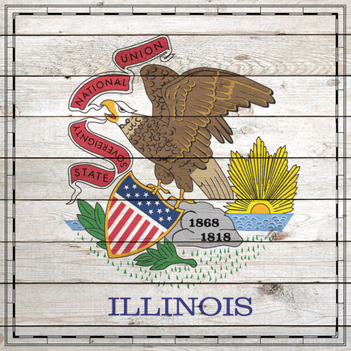 Scrapbook Customs - State Sightseeing Collection - 12 x 12 Paper - Wood Flag - Illinois