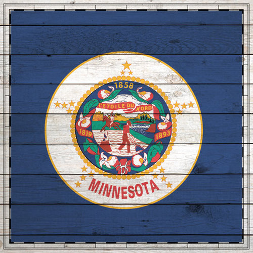 Scrapbook Customs - State Sightseeing Collection - 12 x 12 Paper - Wood Flag - Minnesota