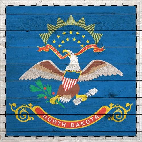 Scrapbook Customs - State Sightseeing Collection - 12 x 12 Paper - Wood Flag - North Dakota