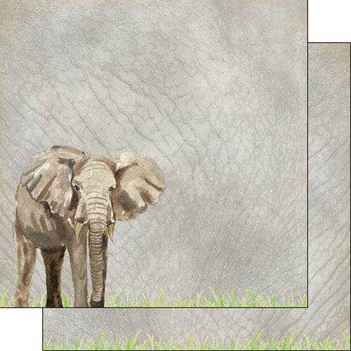 Scrapbook Customs - African Safari Collection - 12 x 12 Double Sided Paper - Elephant