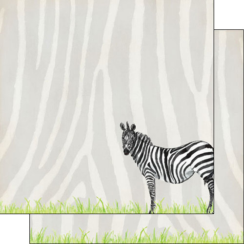 Scrapbook Customs - African Safari Collection - 12 x 12 Double Sided Paper - Zebra