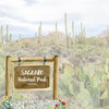 Scrapbook Customs - United States National Parks Collection - 12 x 12 Double Sided Paper - Saguaro Watercolor