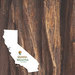 Scrapbook Customs - United States National Parks Collection - 12 x 12 Double Sided Paper - Watercolor - Sequoia