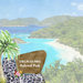 Scrapbook Customs - United States National Parks Collection - 12 x 12 Double Sided Paper - Watercolor - Virgin Islands