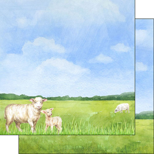 Scrapbook Customs - Farm Watercolor Collection - 12 x 12 Double Sided Paper - Sheep