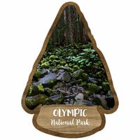 Scrapbook Customs - United States National Parks Collection - Laser Cuts - Watercolor - Olympic National Park