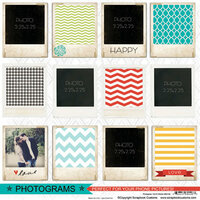 Scrapbook Customs - 12 x 12 Cardstock Stickers - Photograms