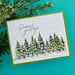 Spellbinders - BetterPress Collection - Press Plates and Dies - Seasons Greetings Evergreens