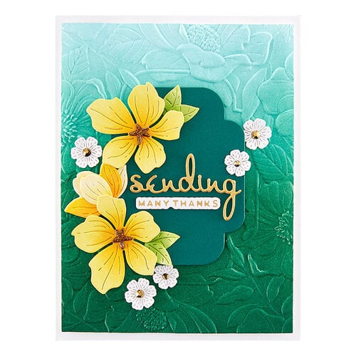 Scroll Frame & Succulent Sizzix Embossing Folders By Basic Grey