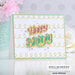 Spellbinders - The Birthday Celebrations Collection - Glimmer Hot Foil - Glimmer Plates - Hand Drawn Loops