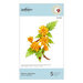 Spellbinders - Susan's Spring Flora Collection - Etched Dies - Kerria Japonica