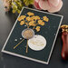 Spellbinders - Sealed Collection - Etched Dies - Ginkgo