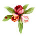 Spellbinders - Susan's Spring Flora Collection - Etched Dies - Parrot Tulip