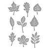 Spellbinders - Fall Traditions Collection - Etched Dies - Autumn Leaves
