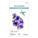 Spellbinders - Summer Solstice Garden Collection - Etched Dies - Petunia and Hummingbird