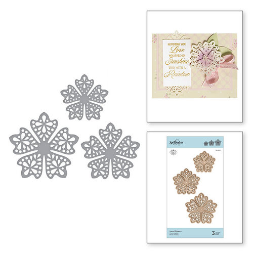 Spellbinders - Special Moments Collection - Shapeabilities Dies - Laced Flowers