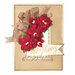 Spellbinders - A Charming Christmas Collection - Etched Dies - Cinch and Go Poinsettia