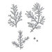 Spellbinders - Etched Dies - Winter Evergreen Foliage and Ladybugs