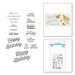 Spellbinders - The Cardmaker III Collection - Die and Clear Photopolymer Stamps - Many Birthdays