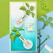 Spellbinders - Propagation Garden Collection - Etched Dies and Clear Photopolymer Stamps - Propagation Garden Sentiments