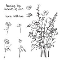 Spellbinders - Into The Wilderness Collection - Clear Photopolymer Stamps - Birthday Bouquet