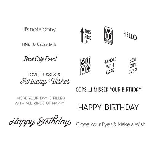 Spellbinders - The Birthday Celebrations Collection - Clear Photopolymer Stamps - Birthday Unboxing Sentiments