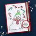 Stampendous - Cool Fransformer Collection - Clear Photopolymer Stamps - Snowy Friends