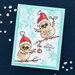 Stampendous - Cool Fransformer Collection - Clear Photopolymer Stamps - Snow Birds