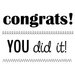 SRM Press - Clear Acrylic Stamps - Big Congrats