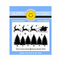 Sunny Studio Stamps - Christmas - Clear Photopolymer Stamps - Here Comes Santa