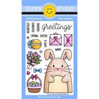 Sunny Studio Stamps - Clear Photopolymer Stamps - Big Bunny