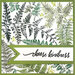 Stampendous - Cling Mounted Rubber Stamps - Fern Garden