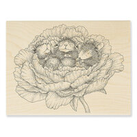Stampendous - House Mouse Designs - Wood Mounted Stamps - Trio Nap