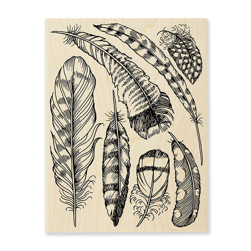 Stampendous - Wood Mounted Stamps - Feathers