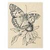 Stampendous - Wood Mounted Stamps - Painted Lady