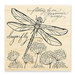 Stampendous - Wood Mounted Stamps - Dragonfly Wings