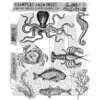 Stampers Anonymous - Tim Holtz - Cling Mounted Rubber Stamp Set - Sea Life
