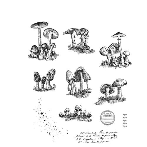 Stampers Anonymous - Tim Holtz - Cling Mounted Rubber Stamp Set - Tiny Toadstools