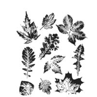 Stampers Anonymous - Tim Holtz - Cling Mounted Rubber Stamps - Leaf Prints - Set 02