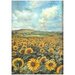 Stamperia - Sunflower Art Collection - A4 Rice Paper - 6 Pack