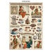 Stamperia - Coffee And Chocolate Collection - Junk Journal - Stickers, Cut-outs, and Backgrounds