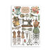 Stamperia - Brocante Antiques Collection - Washi Tape