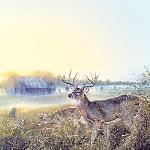 SugarTree - 12 x 12 Paper - Fall Prairie Deer