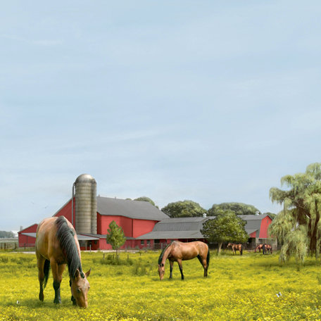 SugarTree - 12 x 12 Paper - Horse Farm
