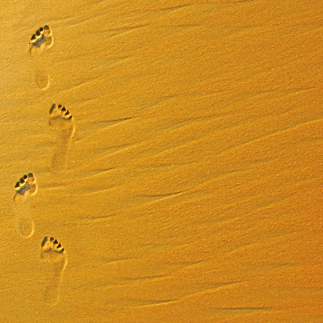 SugarTree - 12 x 12 Paper - Footprints in Sand