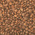 SugarTree - 12 x 12 Paper - Coffee Beans