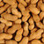 SugarTree - 12 x 12 Paper - Peanuts